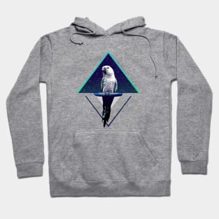 Modern Design Space Sun Conure Hoodie